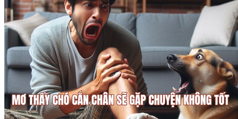 Mơ thấy chó cắn chân sẽ gặp chuyện không tốt