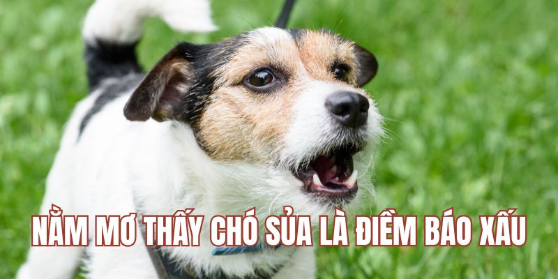 Mộng thấy chó sủa là điềm báo xấu